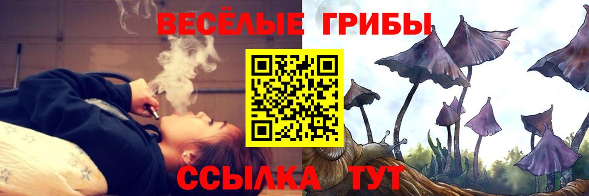 Псилоцибиновые грибы мицелий Воскресенск